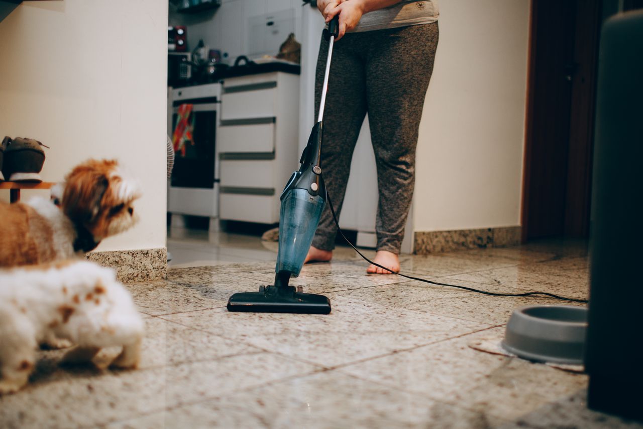 Une femme nettoie le sol à l’aide d’un aspirateur pendant qu’un chien observe avec attention. Décor intérieur domestique.
